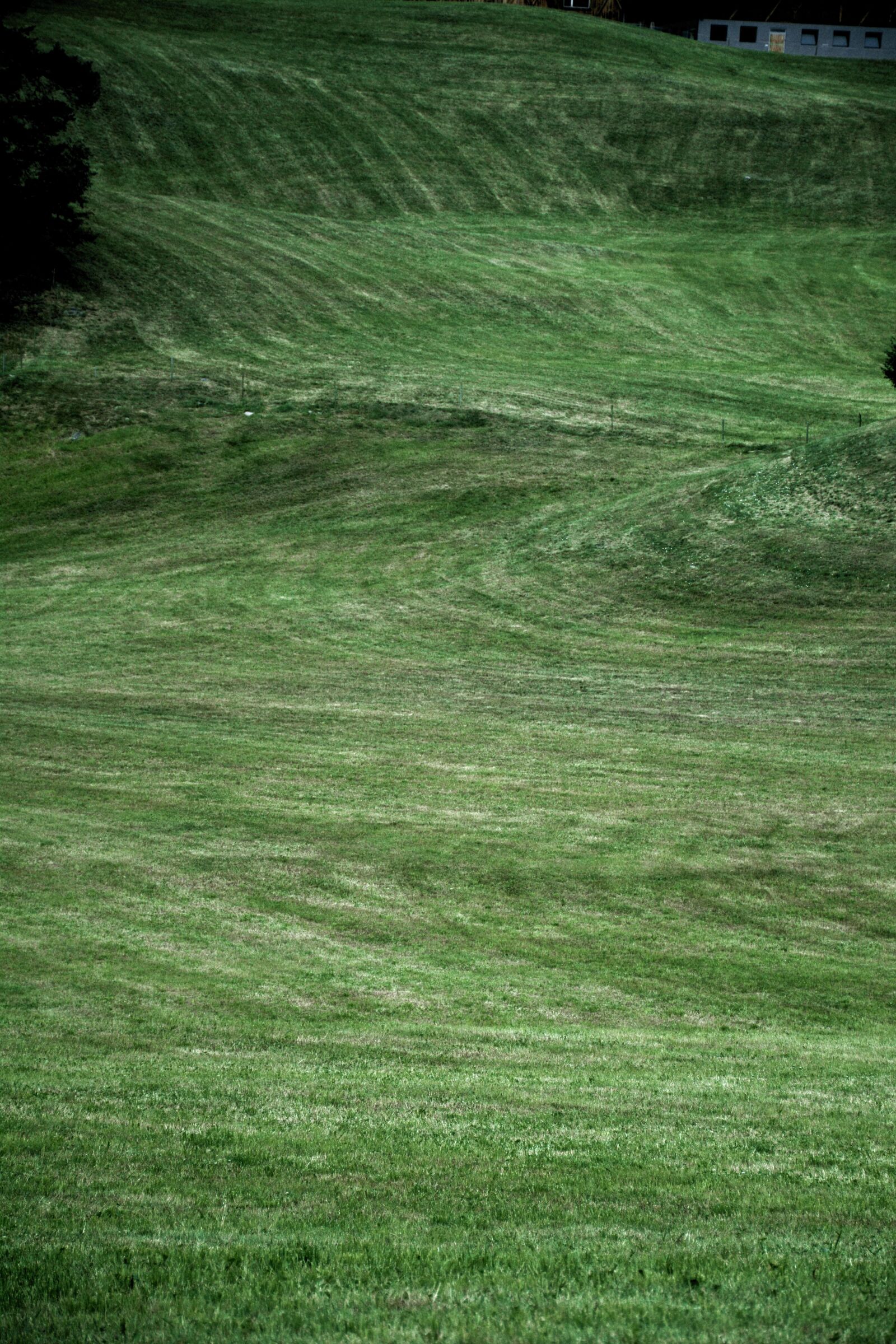 Nikon D7100 sample photo. Prato, grass, south tyrol photography