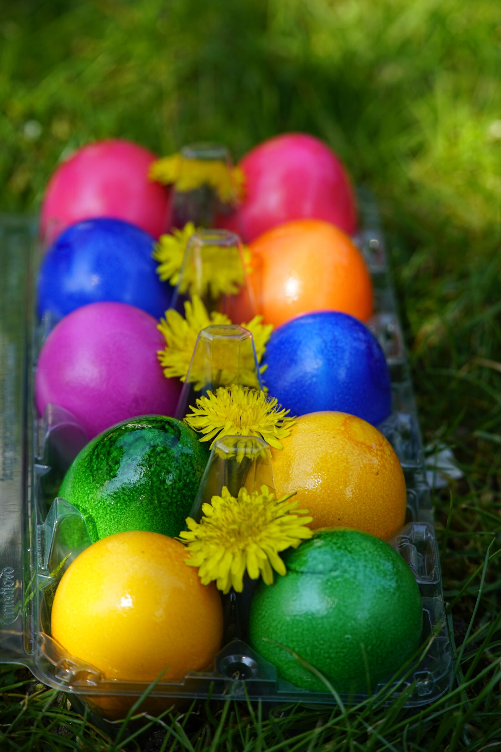 Sony a7R II + Sony E PZ 18-105mm F4 G OSS sample photo. Easter, eggs, colorful photography