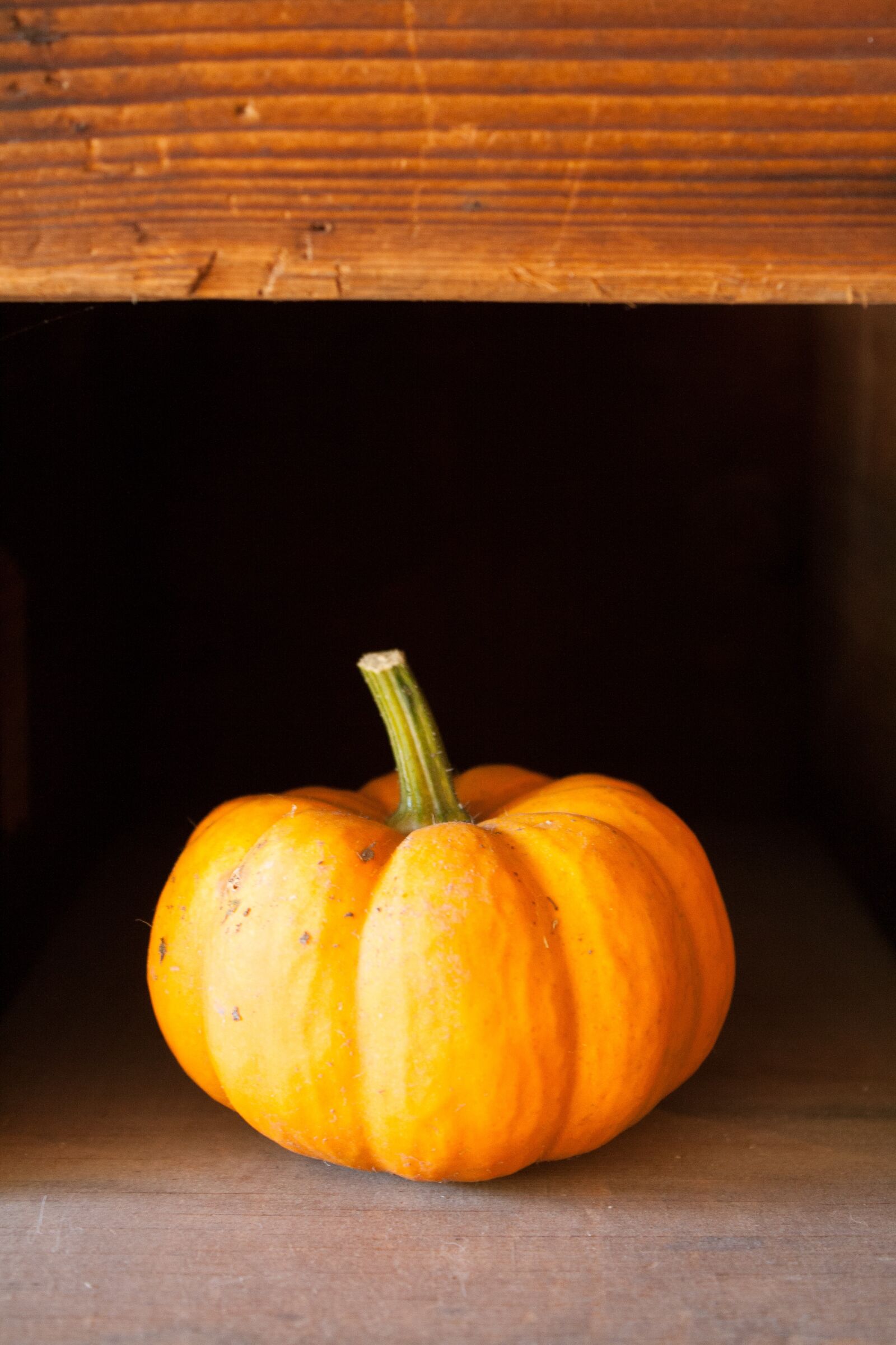 Canon EOS 1000D (EOS Digital Rebel XS / EOS Kiss F) sample photo. Halloween, pumpkin, autumn photography