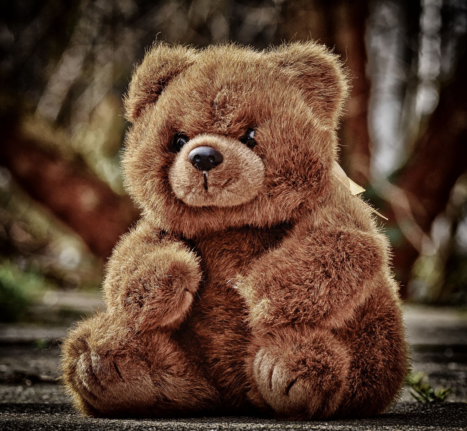 Nikon D3200 sample photo. Teddy, cute, soft toy photography