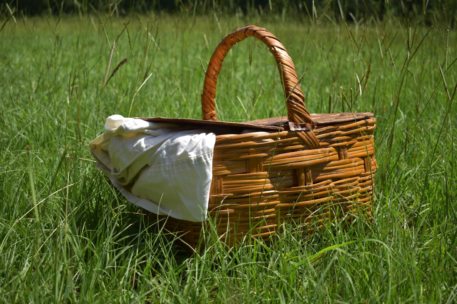 Nikon D3500 sample photo. Picnic, basket, summer photography