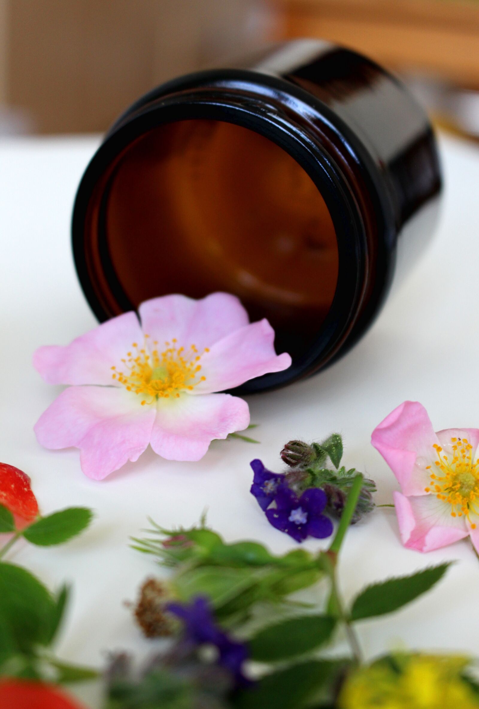 Canon EOS 700D (EOS Rebel T5i / EOS Kiss X7i) sample photo. Natural cosmetics, cosmetics, flowers photography
