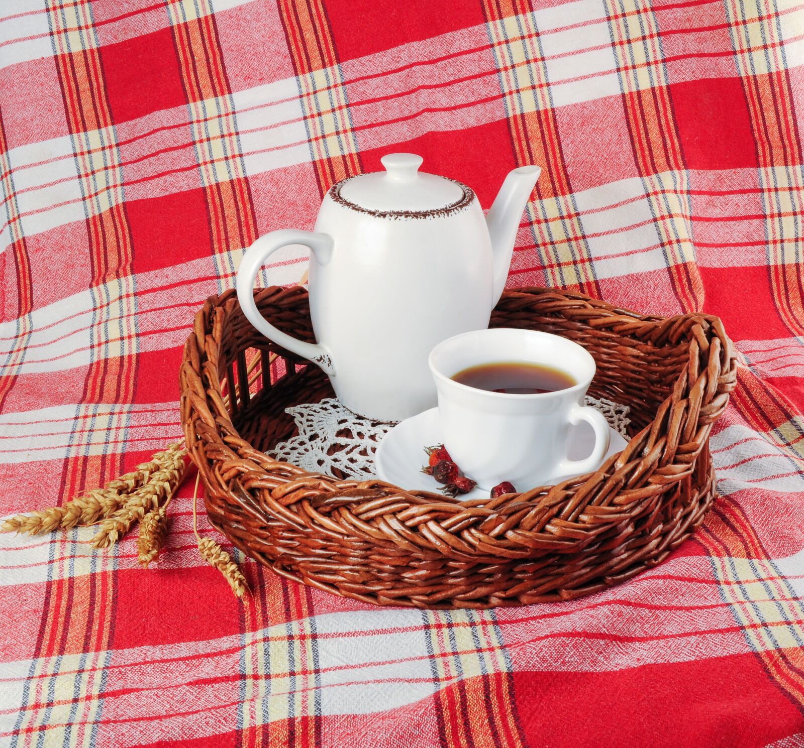 Nikon D5000 sample photo. Tray, tea, mug photography