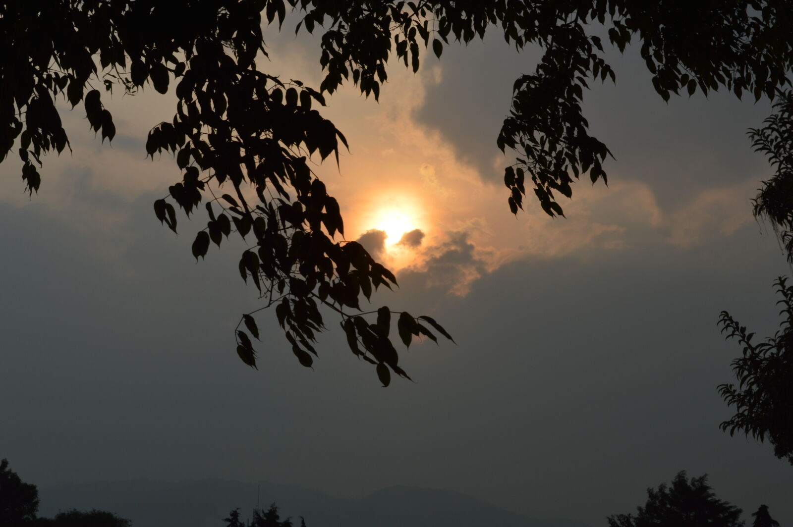 Nikon D3200 sample photo