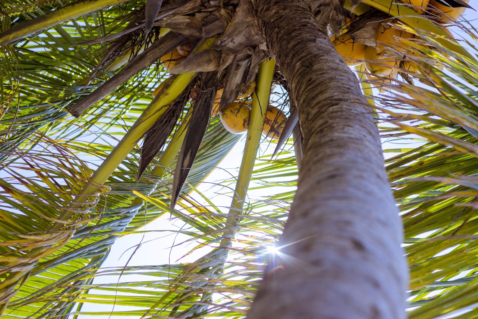 Canon EOS 600D (Rebel EOS T3i / EOS Kiss X5) + Canon EF 50mm F1.8 II sample photo. Beach, blue, blue sky photography