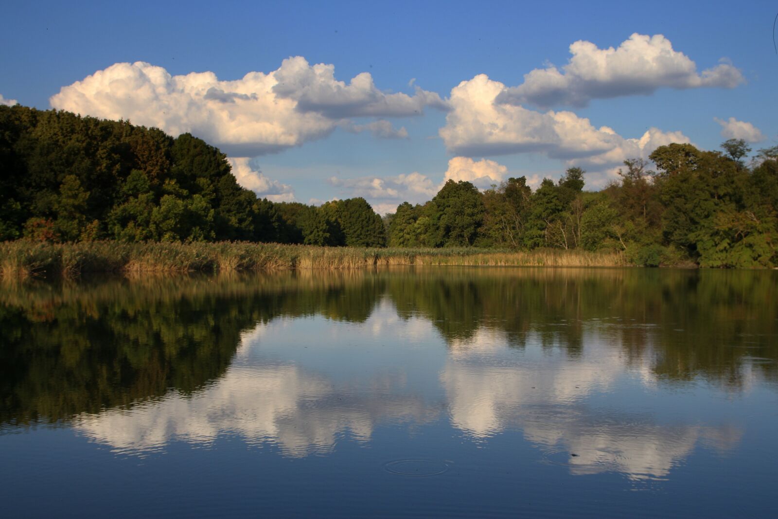 Canon EOS 700D (EOS Rebel T5i / EOS Kiss X7i) sample photo. Lake, forest, cloud photography