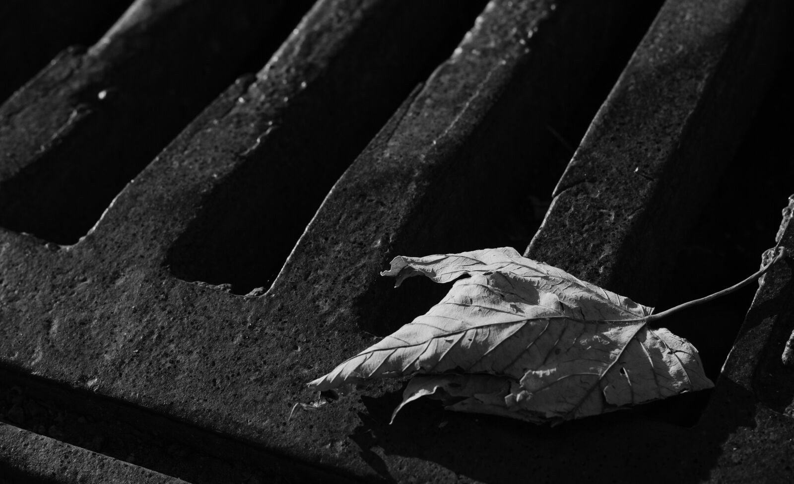 Canon EOS 700D (EOS Rebel T5i / EOS Kiss X7i) + Canon EF 50mm F1.8 STM sample photo. Sheet, waste, sewerage photography