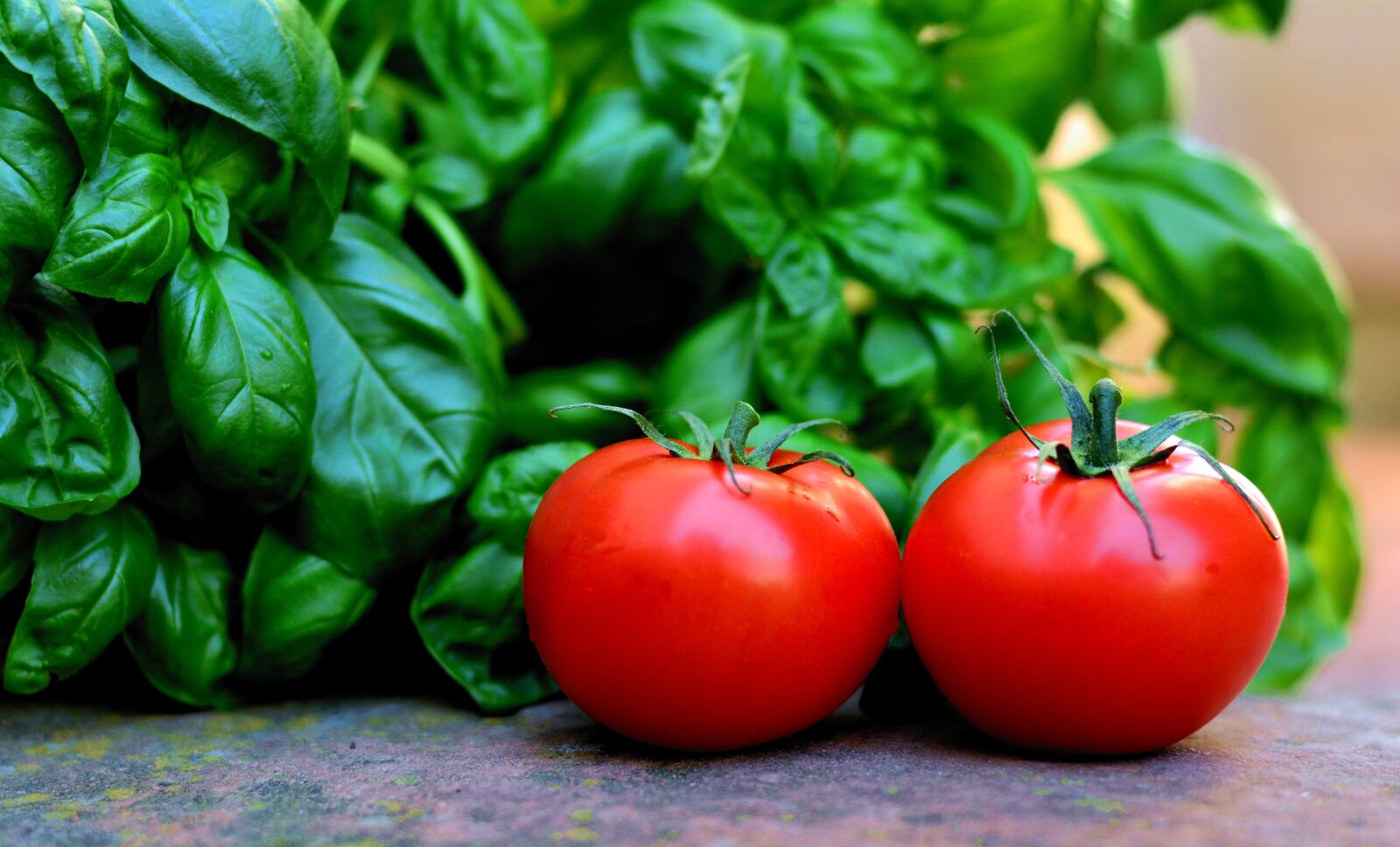 Nikon D5200 sample photo. Tomatoes, trusses, bush tomatoes photography