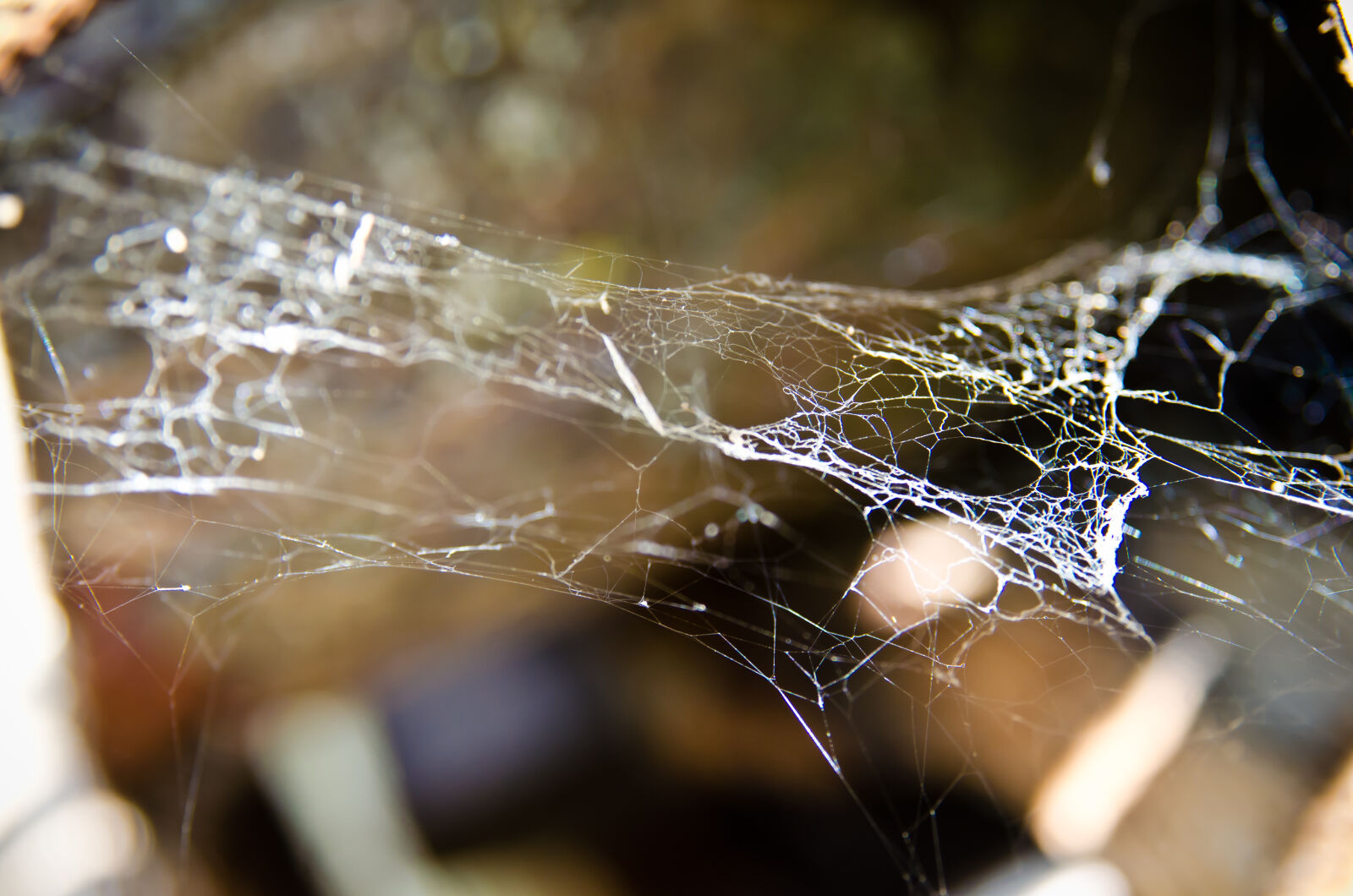 Nikon D7000 sample photo. Close, up, view, closeup photography