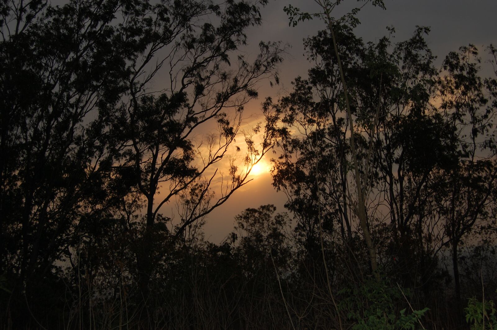 Nikon D40 sample photo. Sunrise, hills, sky photography