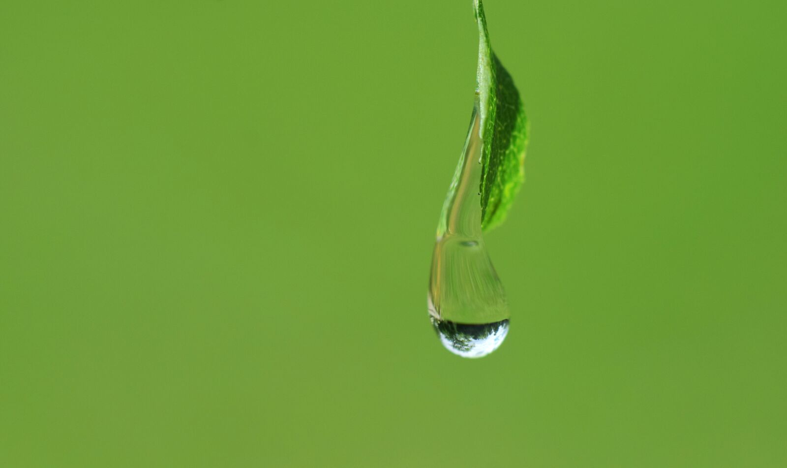 Nikon D3300 sample photo. Drip, close up, drop photography