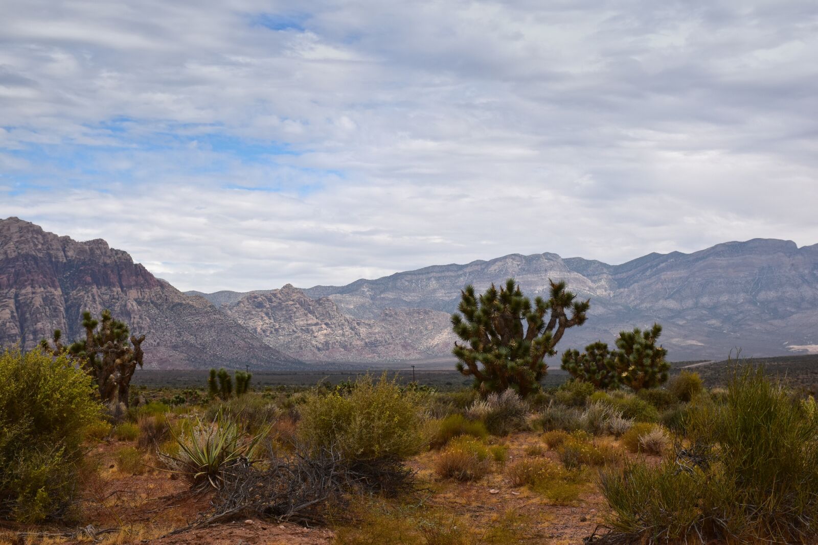 Nikon D5500 sample photo. Landscapes, nature, desert photography