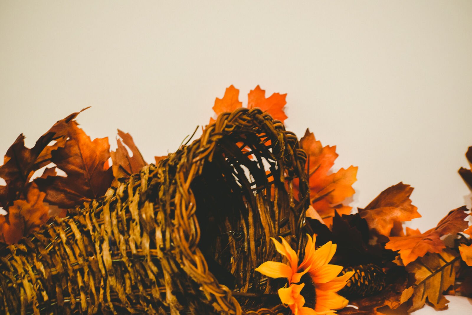 Nikon D3300 sample photo. Autumn, cornucopia, fall, fall photography