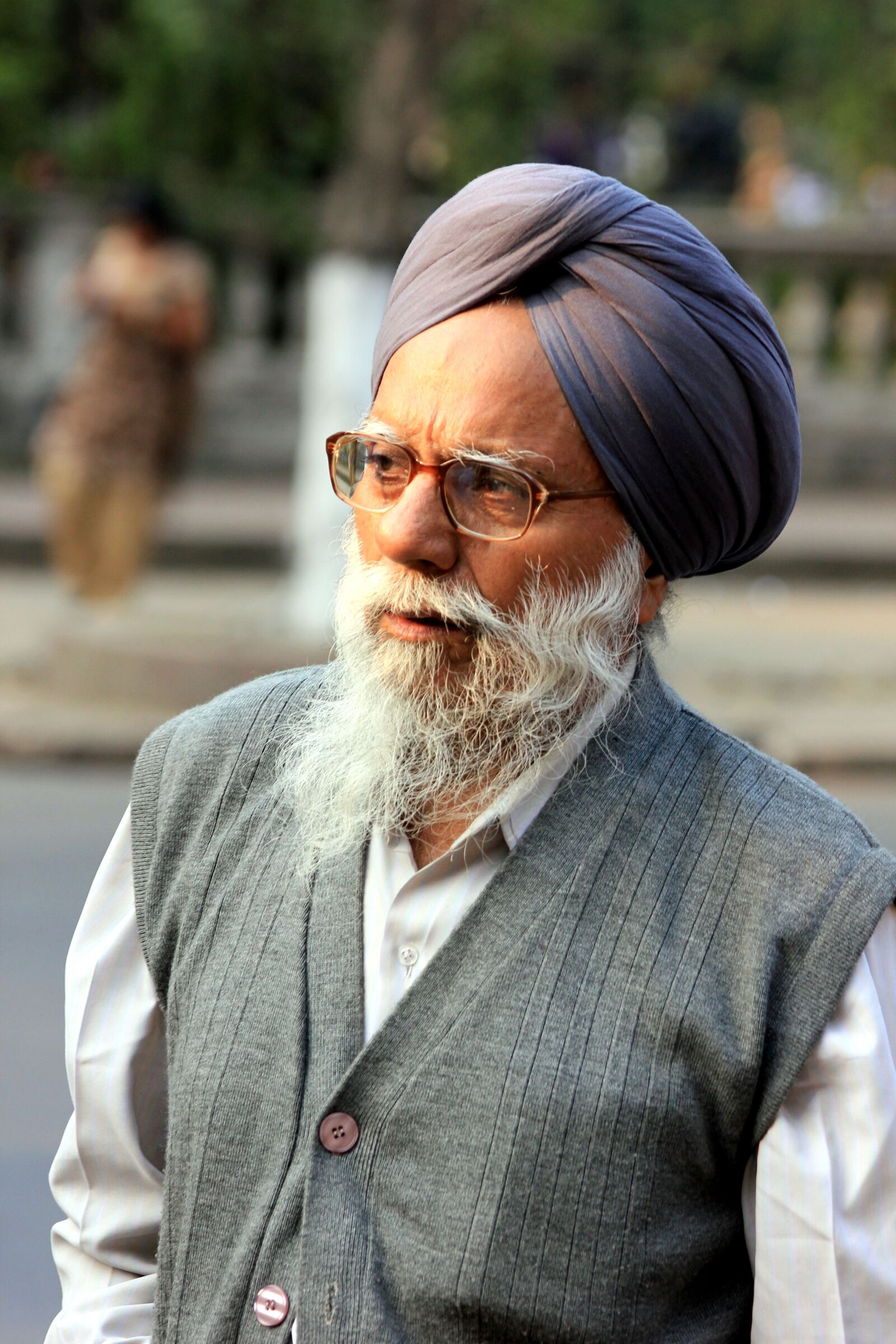 Canon EOS 550D (EOS Rebel T2i / EOS Kiss X4) sample photo. India, asia, man photography