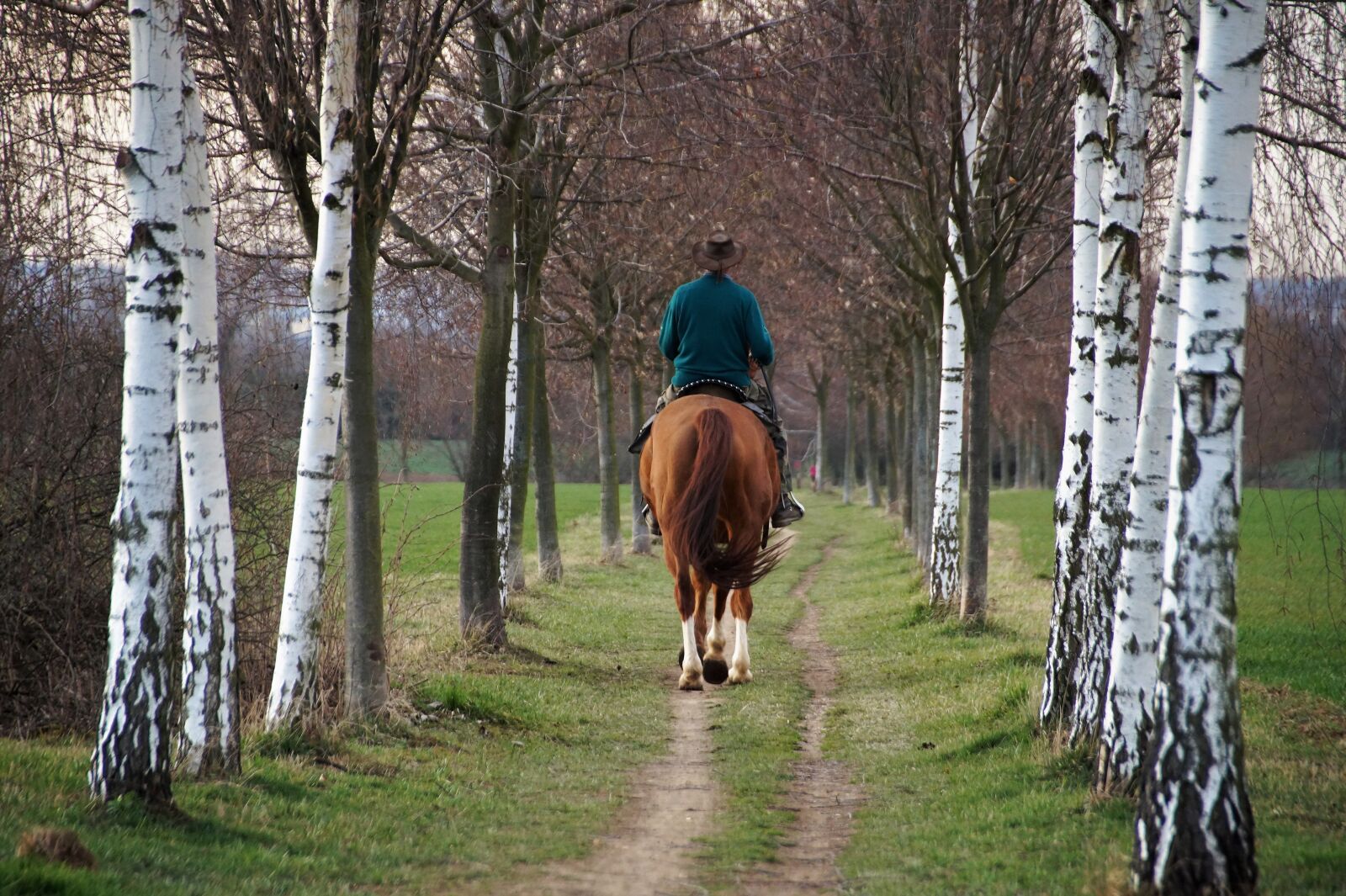 Sony SLT-A58 sample photo. Horse, rider, vernal photography
