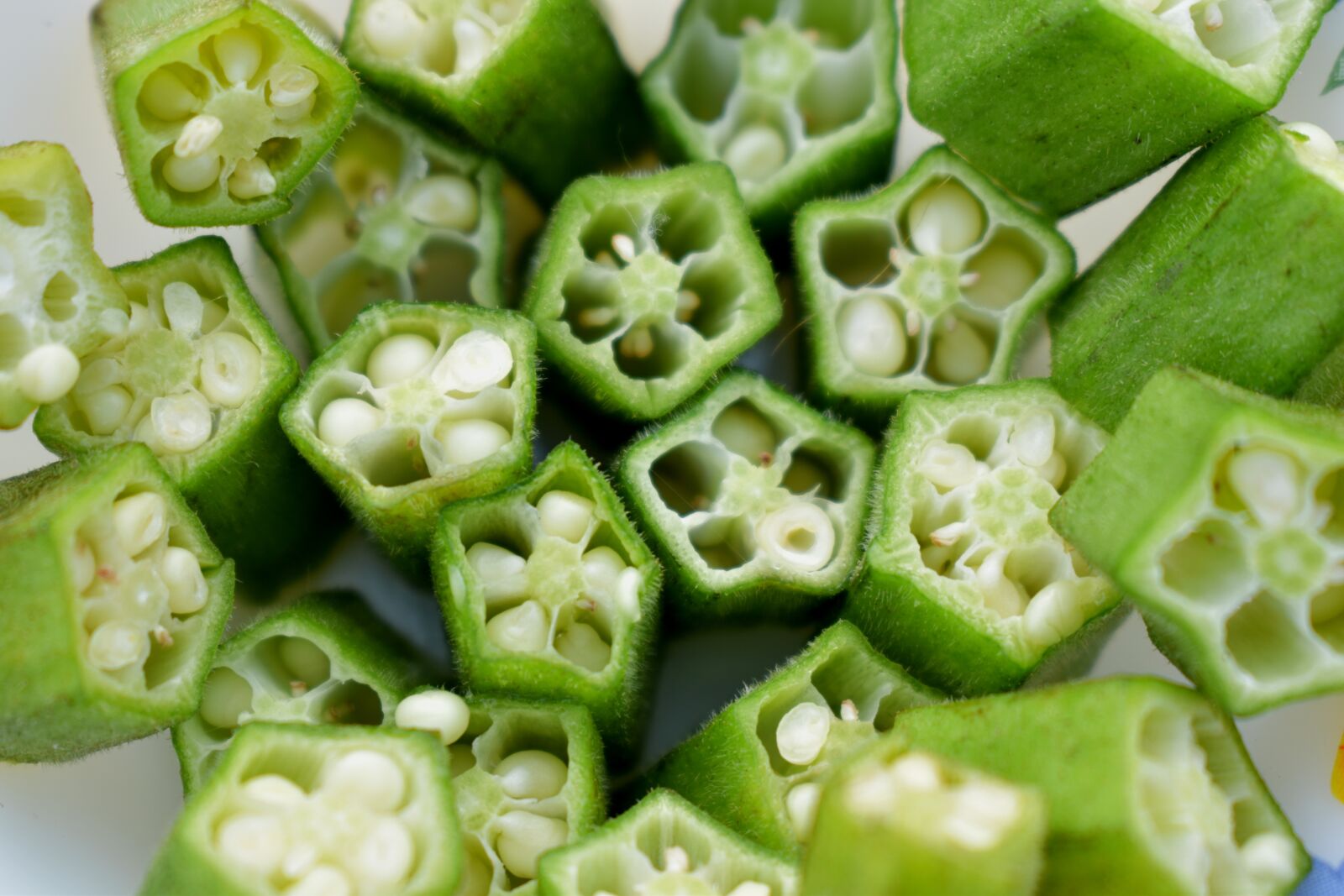 Nikon D5600 sample photo. Okra, lady's finger, sliced photography