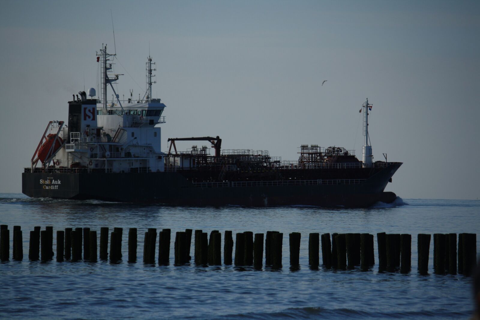 Canon EOS 1000D (EOS Digital Rebel XS / EOS Kiss F) sample photo. Ship, tanker, sea photography