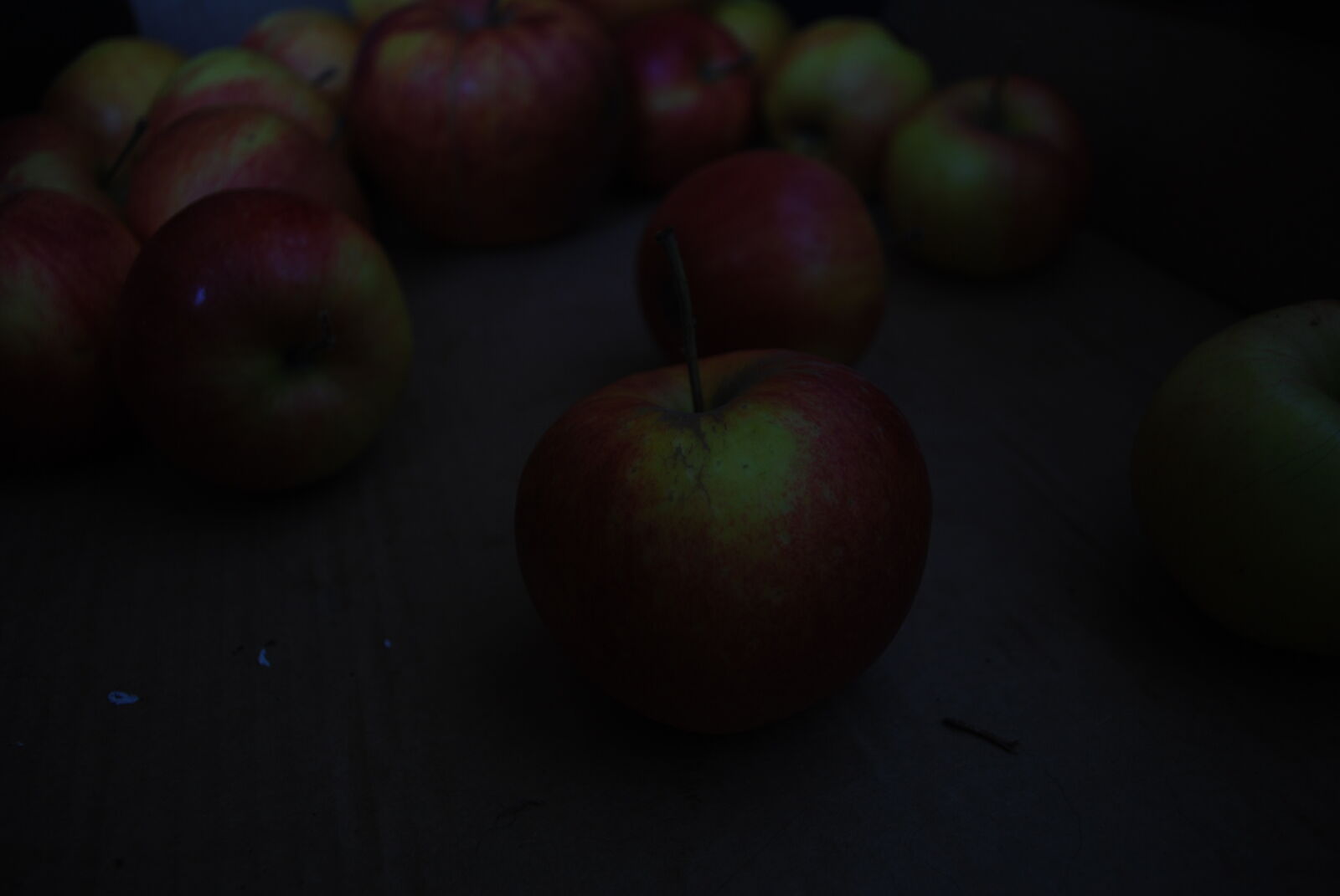 Nikon D60 sample photo. Apple, box, carton, dark photography