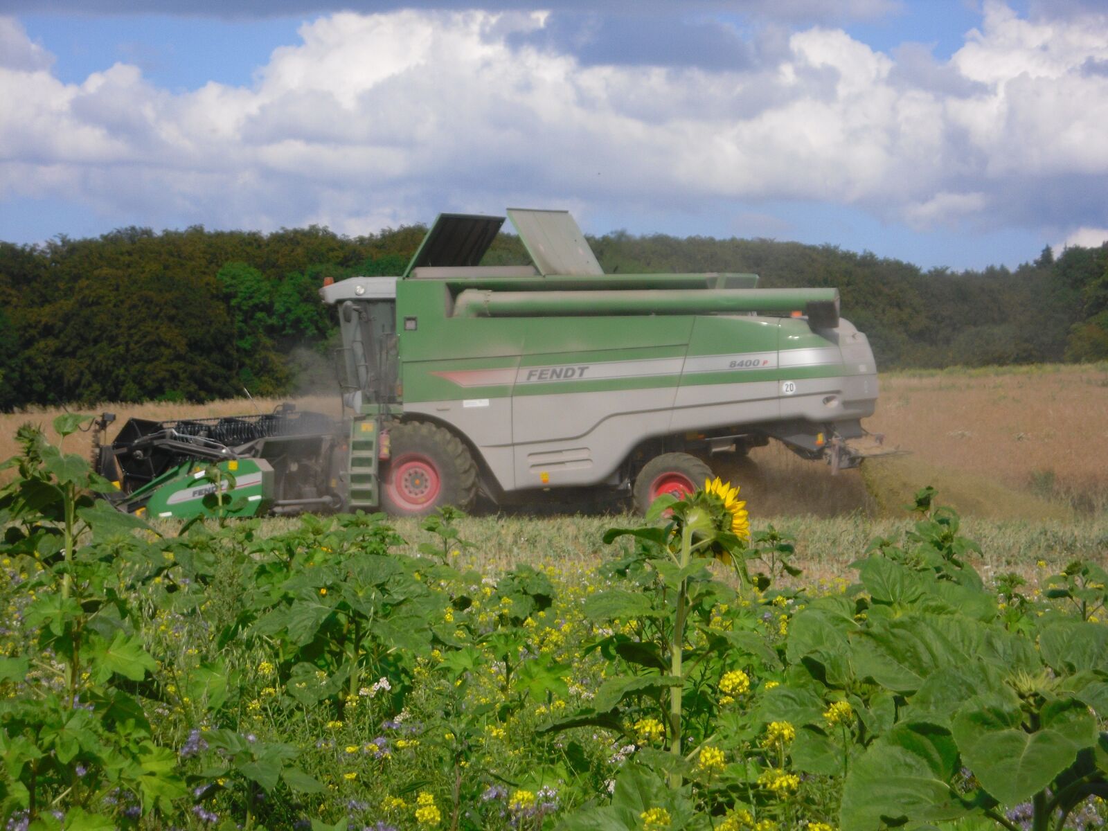 Samsung PL80/VLUU PL80/ SL630/ PL81 sample photo. Fender 8400, combine harvester, harvest photography