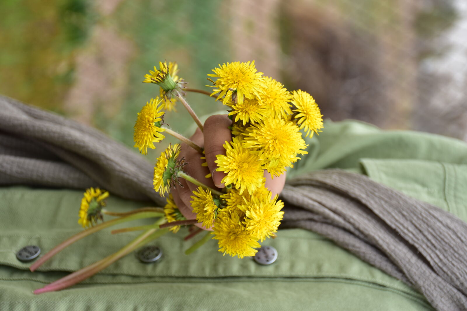 Nikon D5600 sample photo