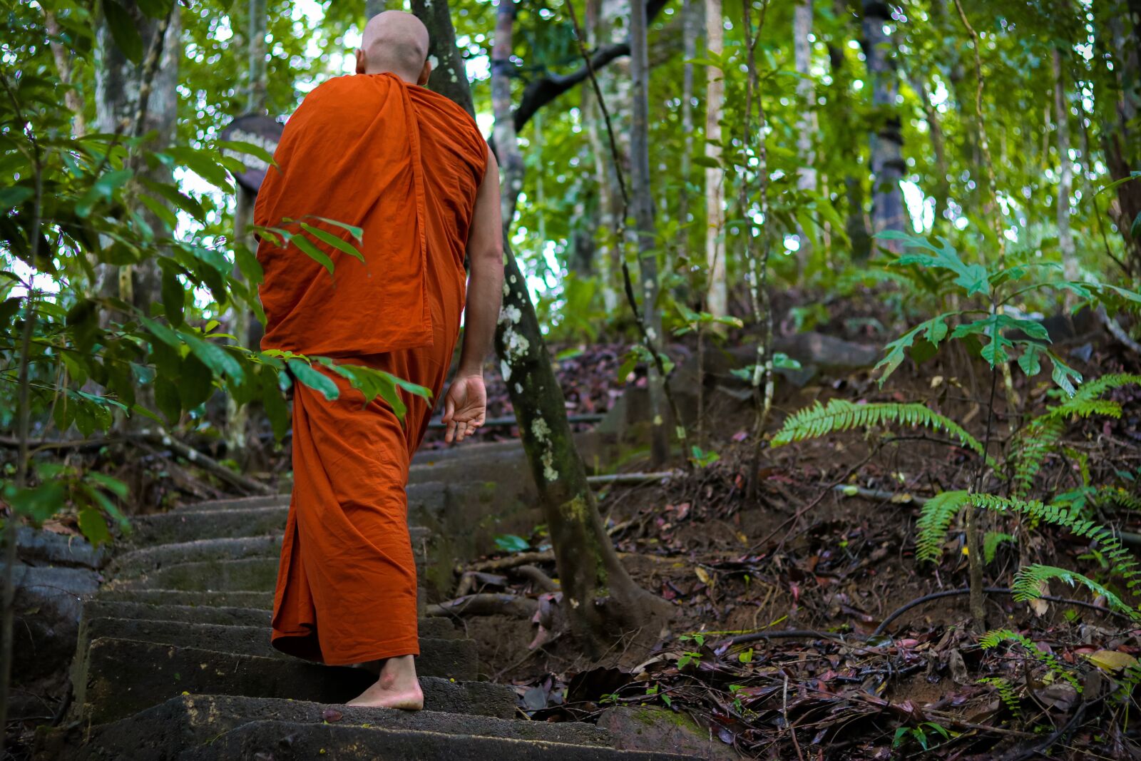 Canon EOS 80D sample photo. "Buddhist, monk, jangle" photography