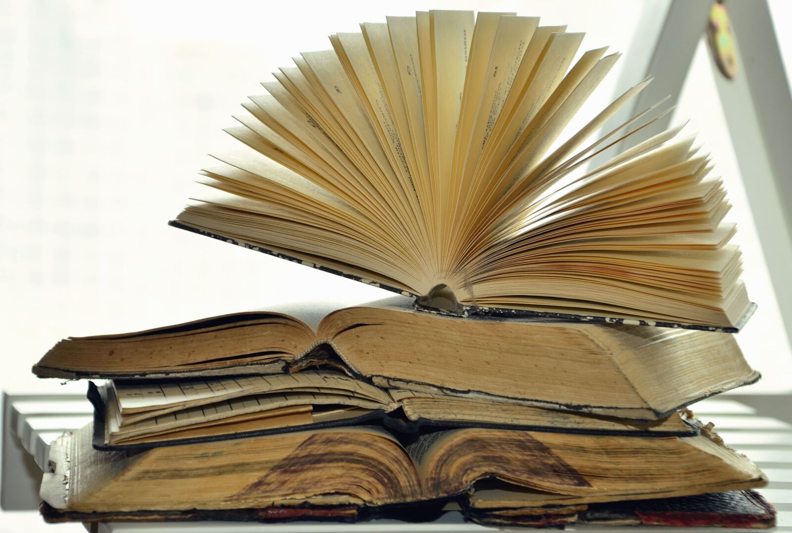 Nikon D5100 sample photo. Page, book, table, learning photography