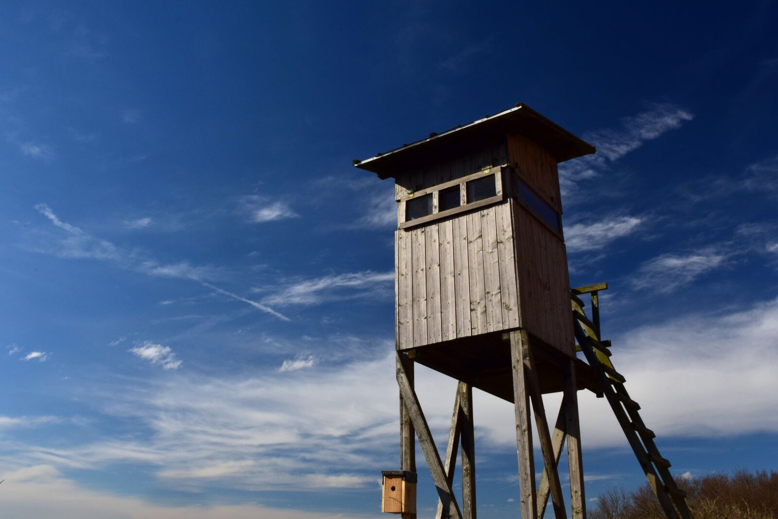 Nikon D3300 sample photo. Perch, delight, hunts photography