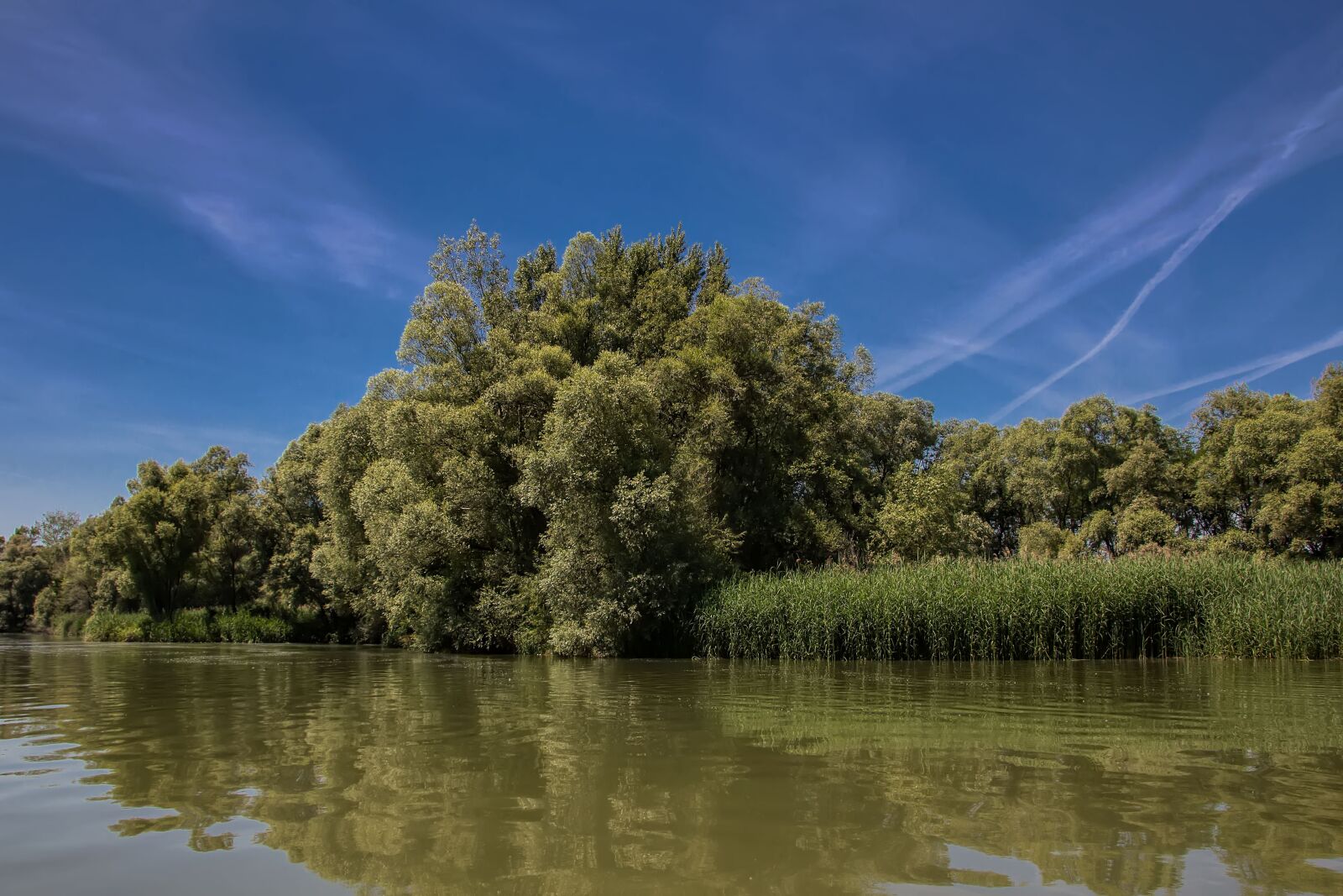 Canon EOS 600D (Rebel EOS T3i / EOS Kiss X5) sample photo. Danube, slovakia, nature photography