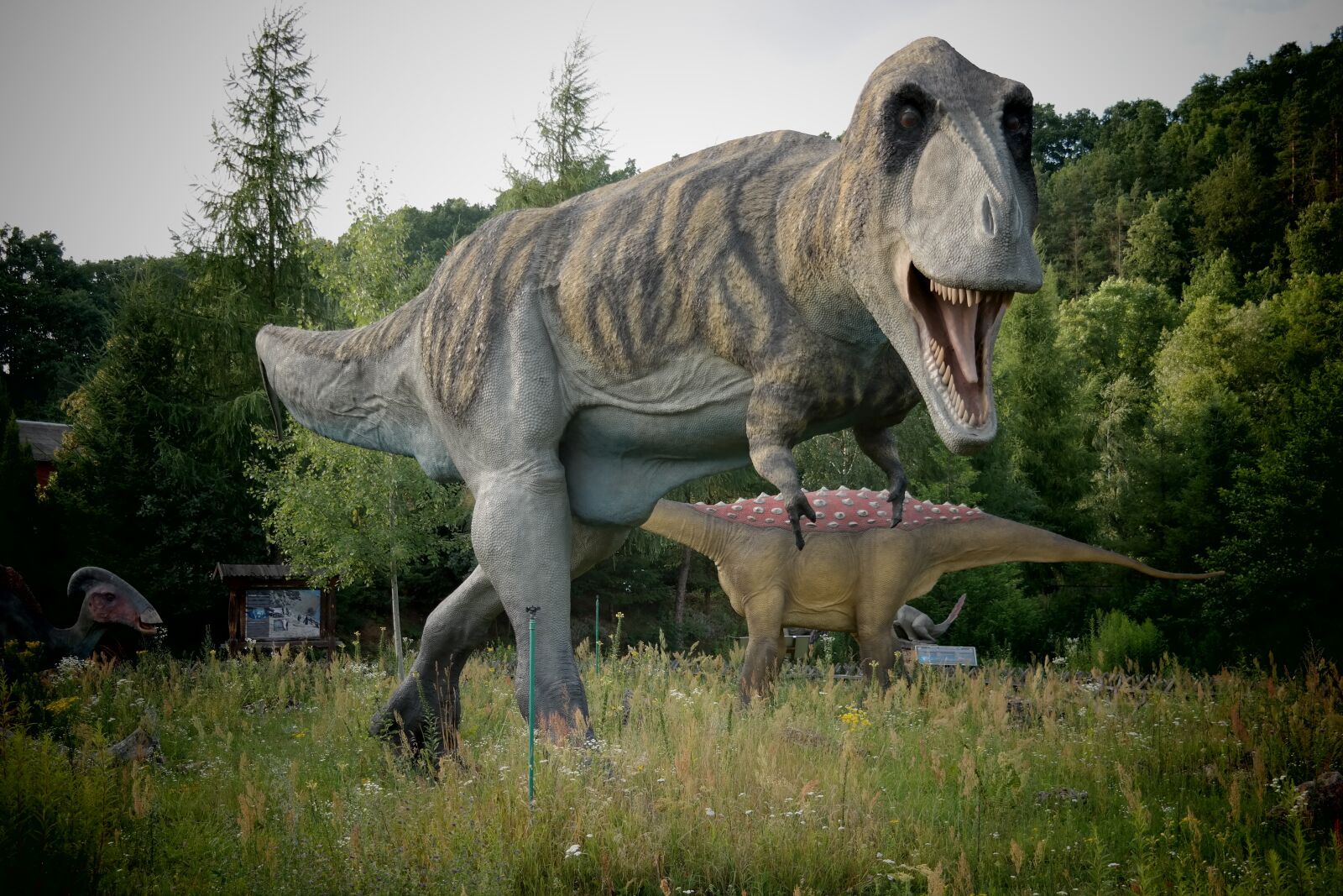 Samsung NX300 sample photo. Dinosaur, animal, wild photography