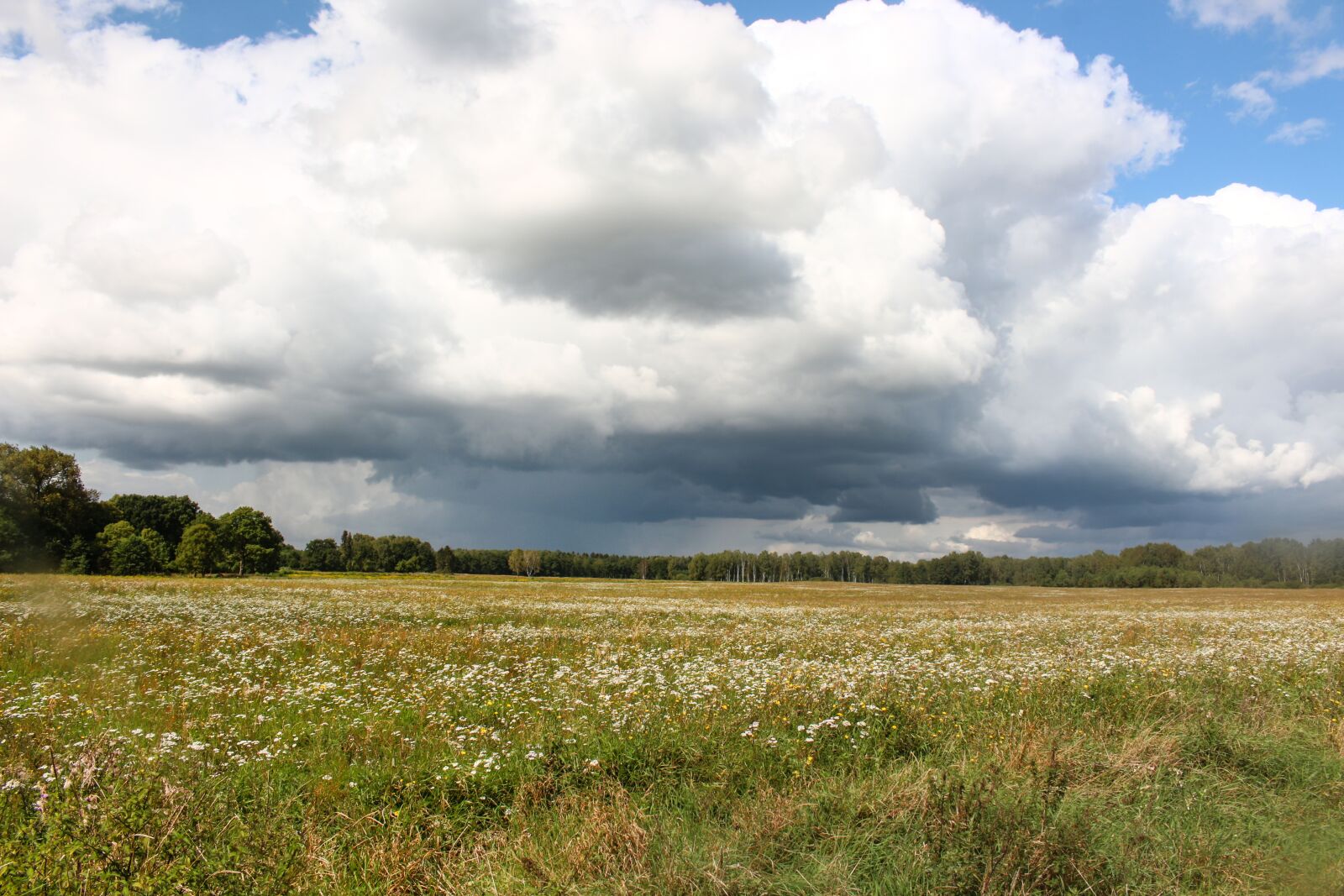 Canon EOS 700D (EOS Rebel T5i / EOS Kiss X7i) sample photo. Landscape, view, space photography