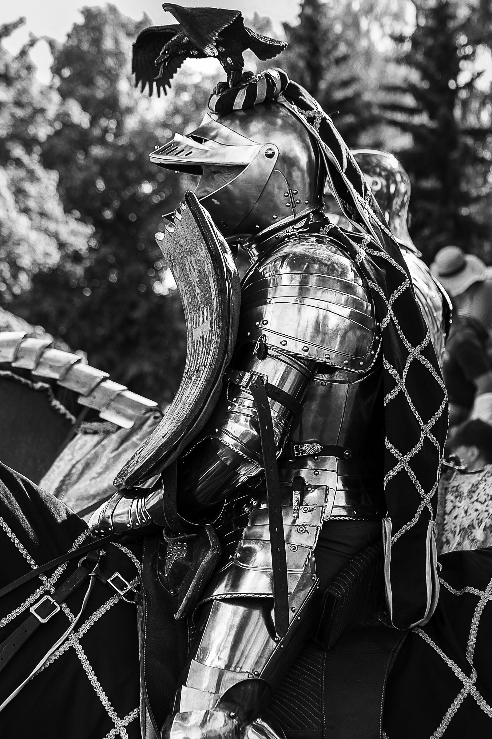 Nikon D3300 sample photo. Knight, middle ages, steed photography