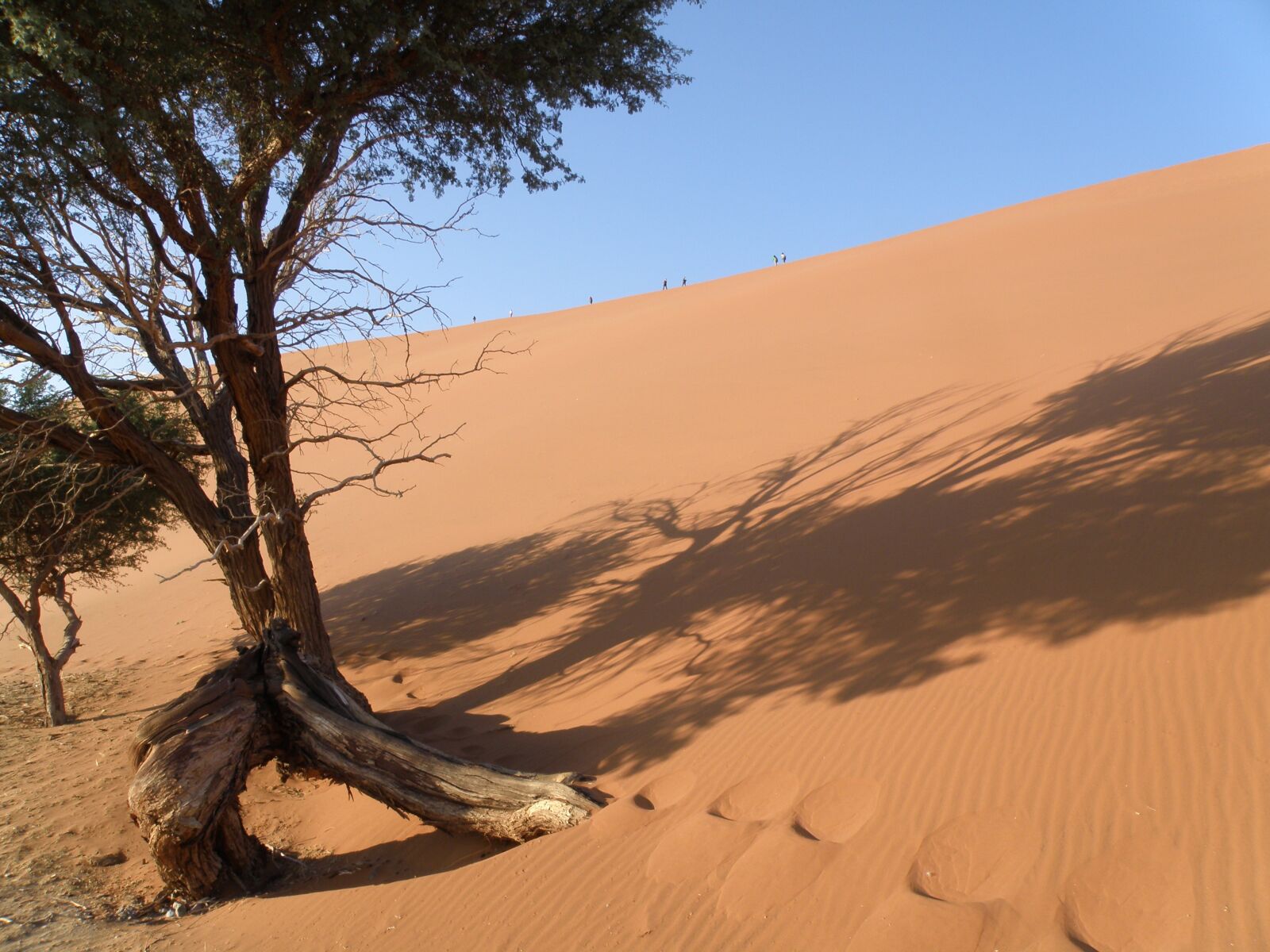 Olympus SP570UZ sample photo. Dune, namibia, desert photography