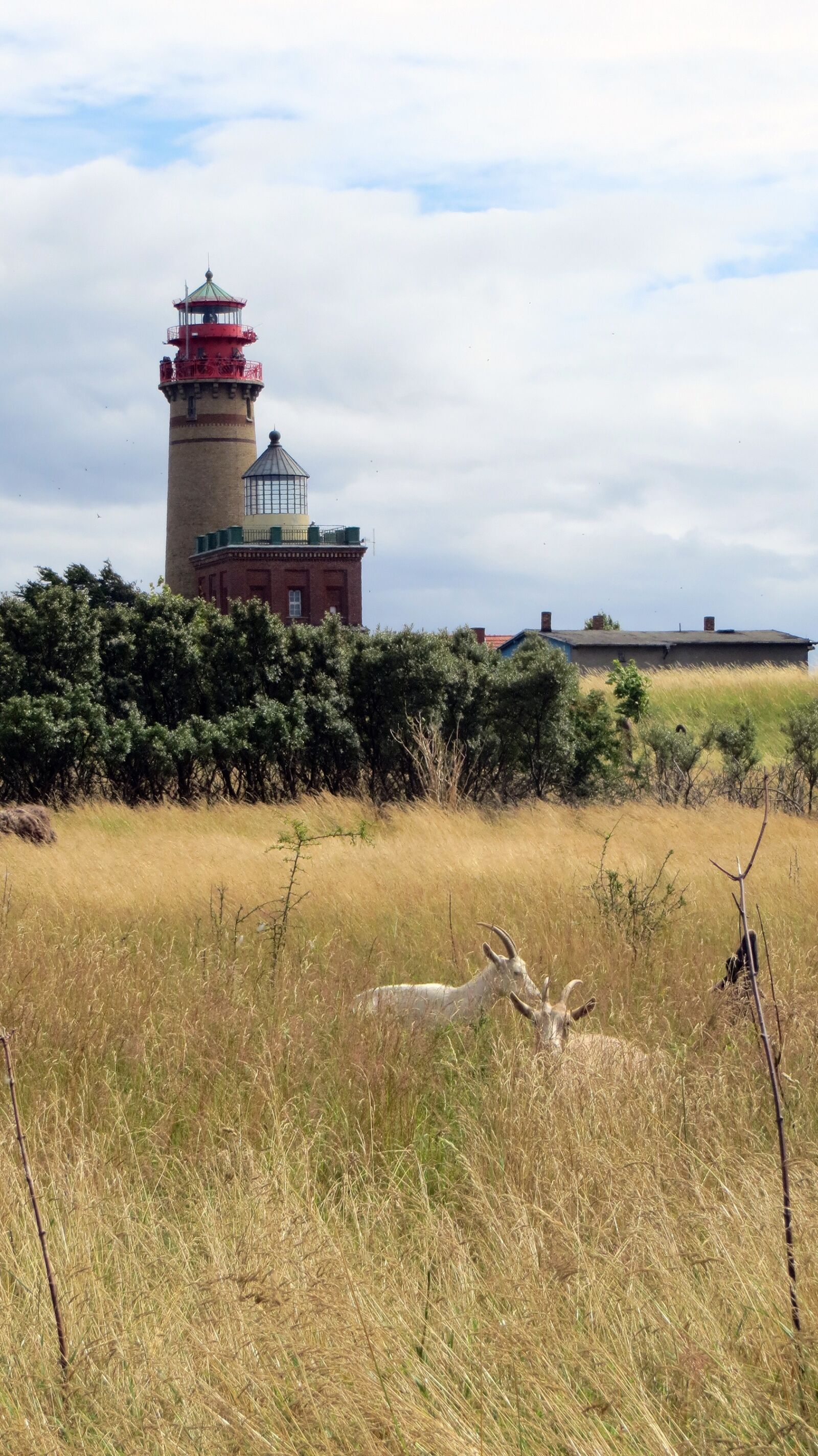 Canon PowerShot SX240 HS sample photo. Cape arkona, r gen photography