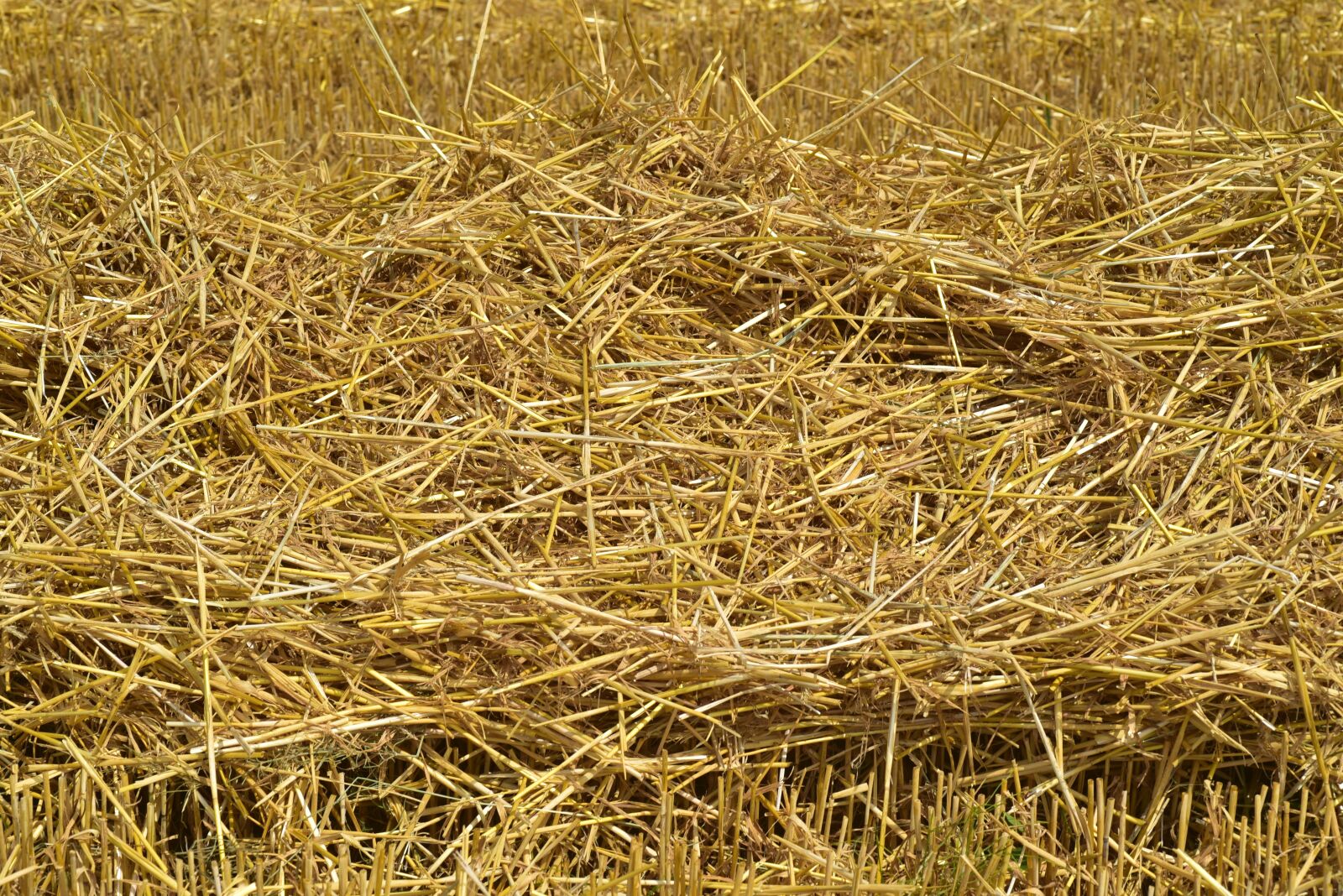 Nikon D750 sample photo. Straw, hay, rural photography