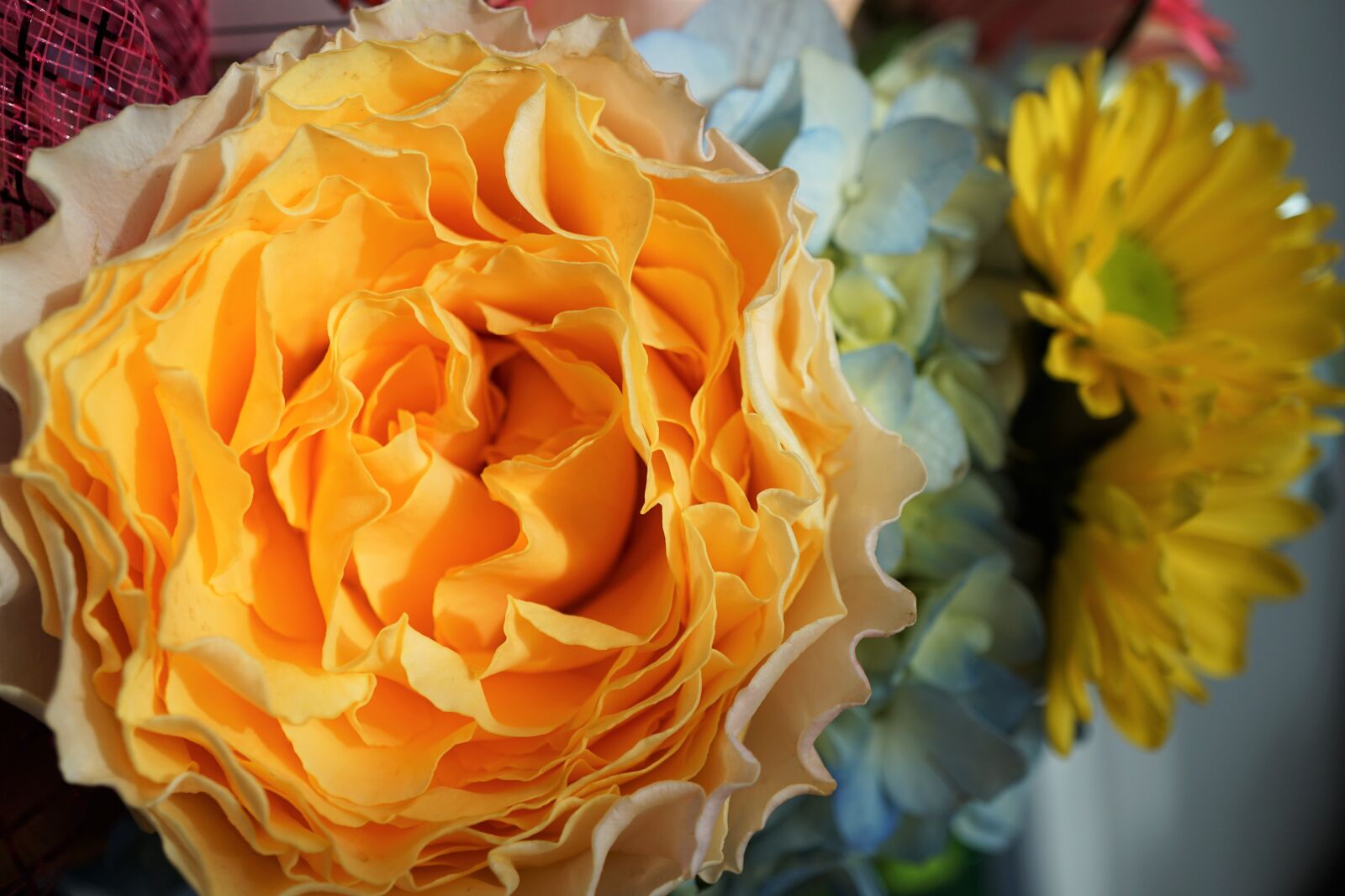Sony a6000 sample photo. Beautiful, flowers, bunch, of photography