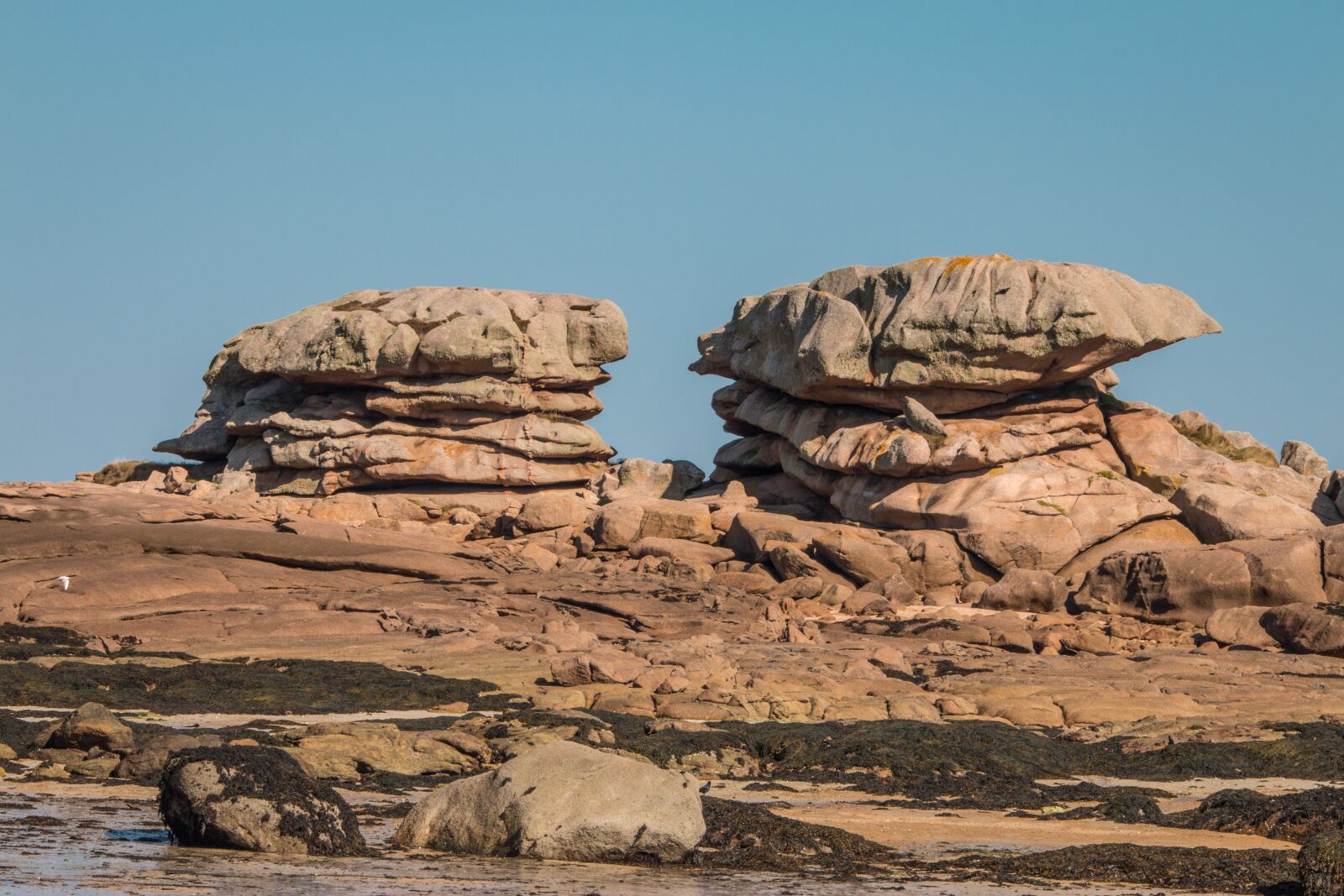 Canon EOS 70D sample photo. Side, granite, pink photography