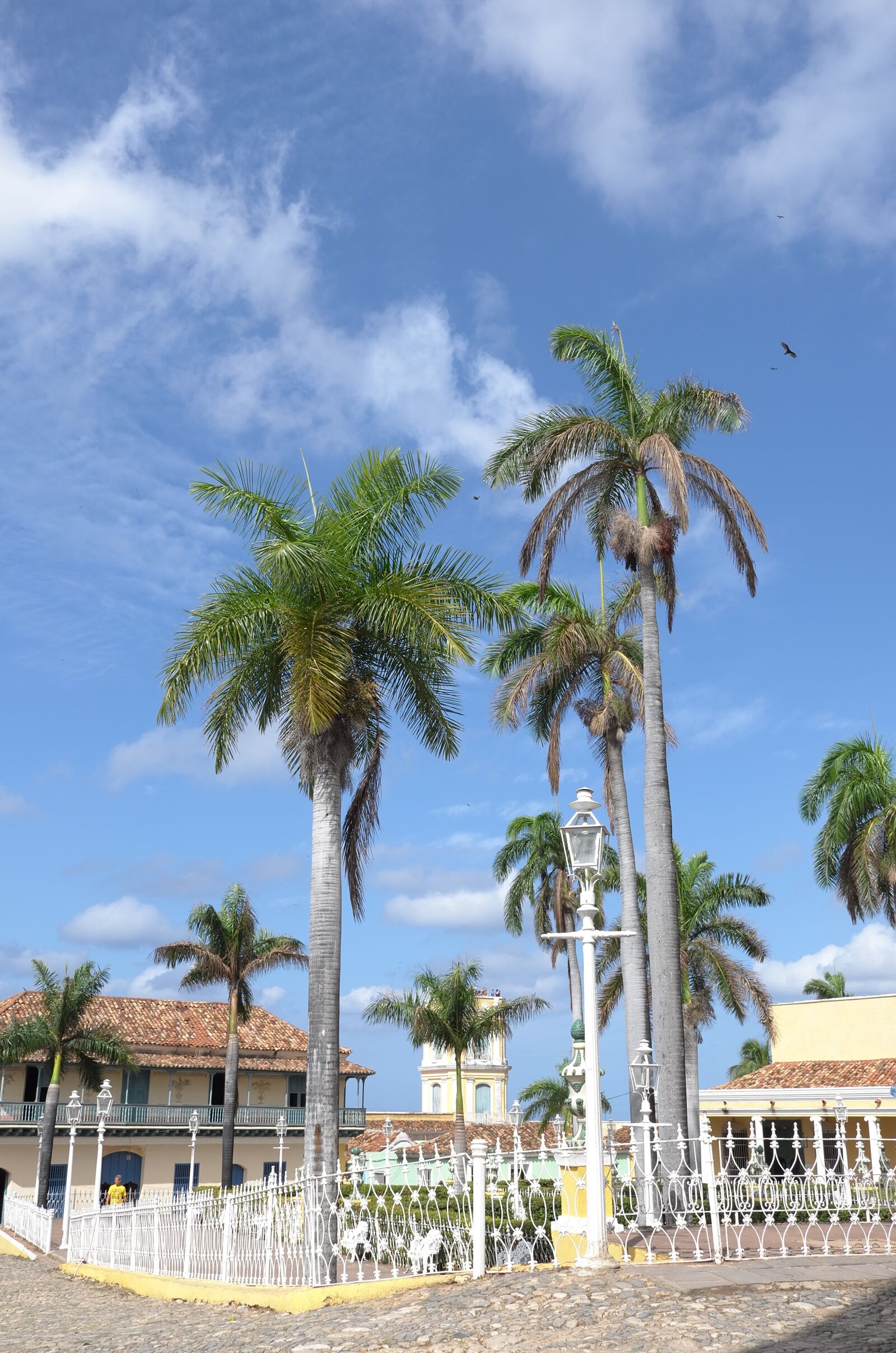 Leica X (Typ 113) sample photo. Cuba, trinidad, palms photography