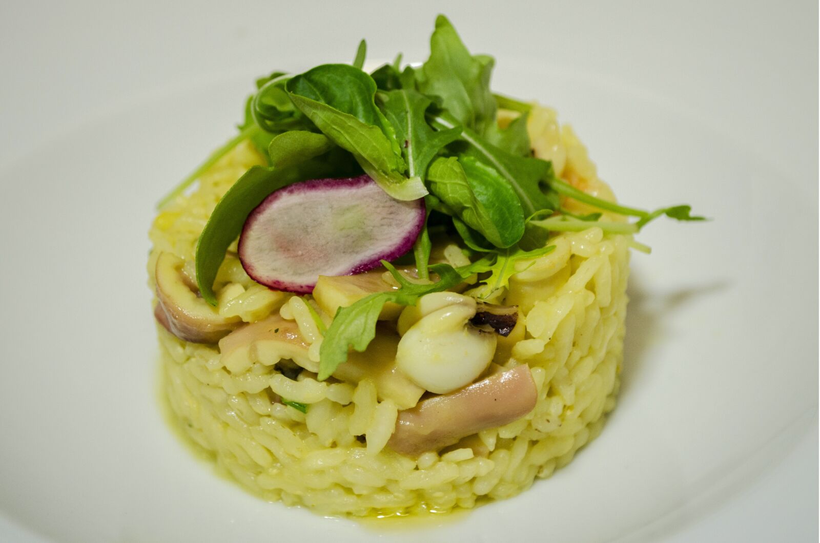 Nikon D5100 sample photo. Risotto, see food, food photography