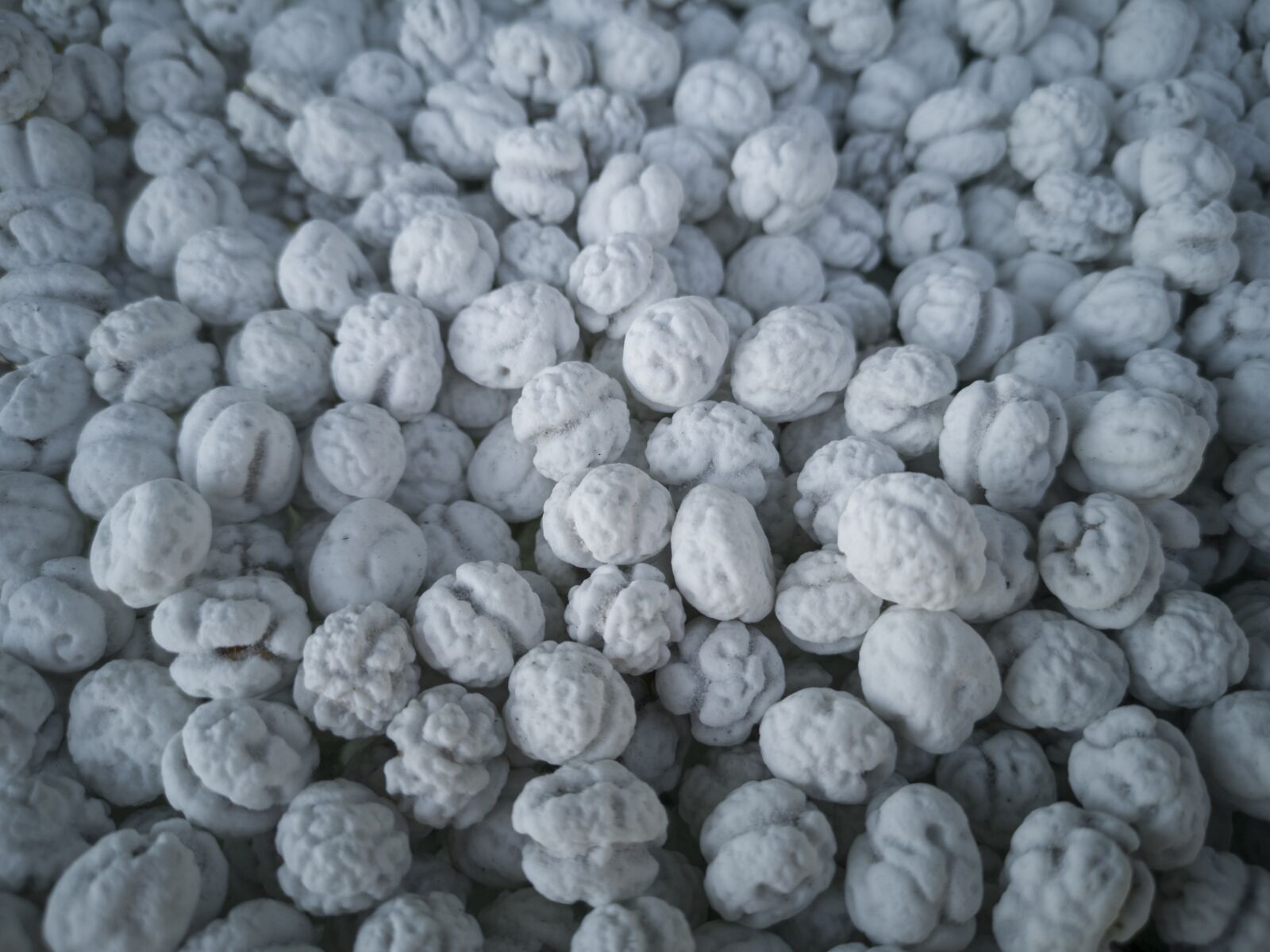 HUAWEI CLT-L09 sample photo. Dried fruits and nuts photography