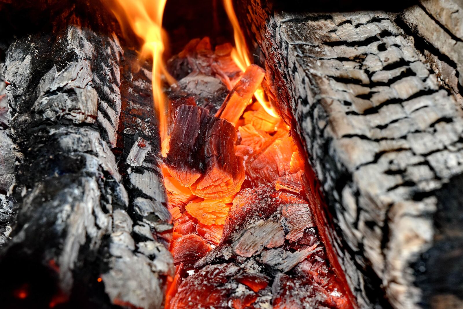 Nikon D5500 sample photo. Bright, burn, fire, heat photography