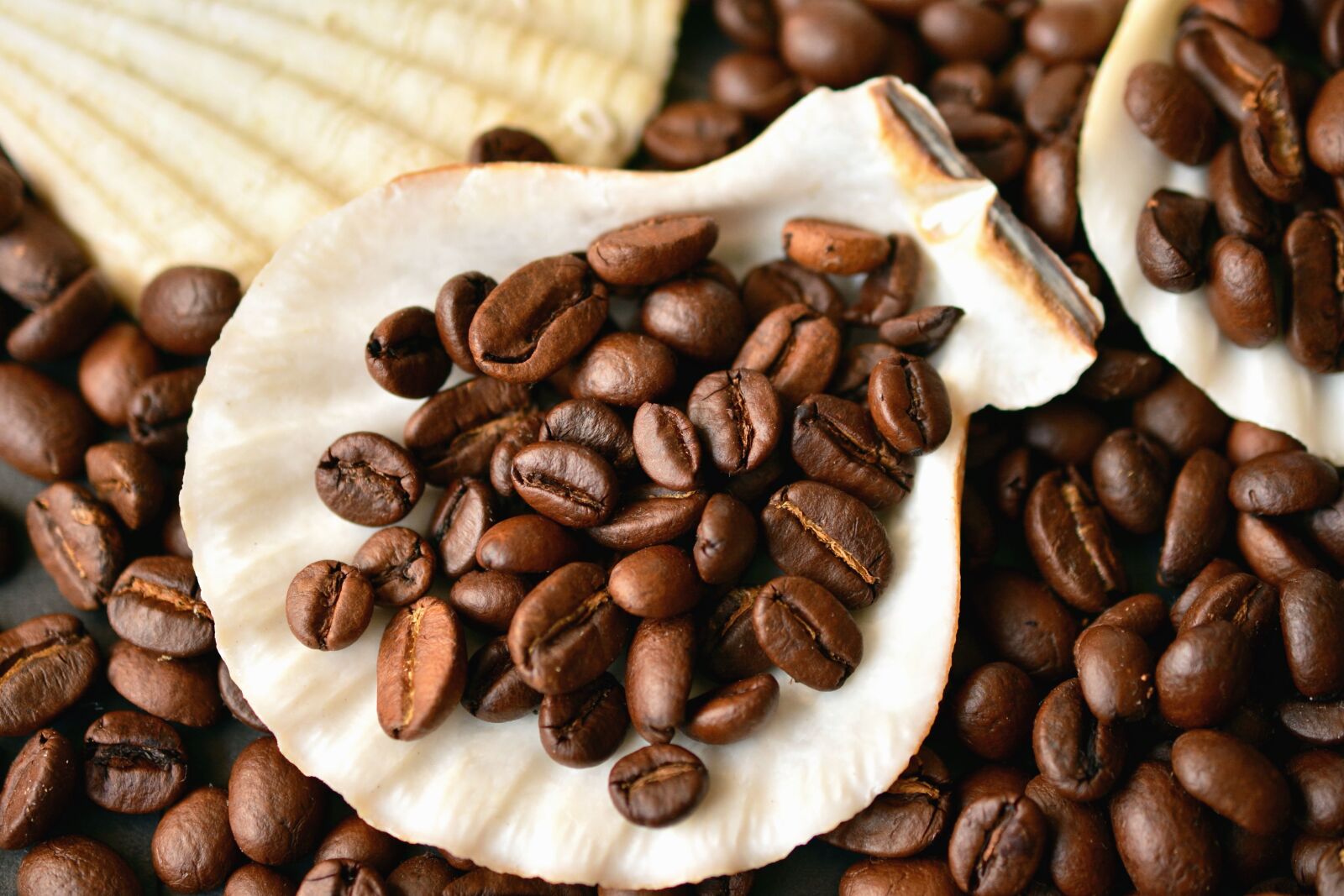 Nikon D5200 sample photo. Coffee bean, drink, decoration photography