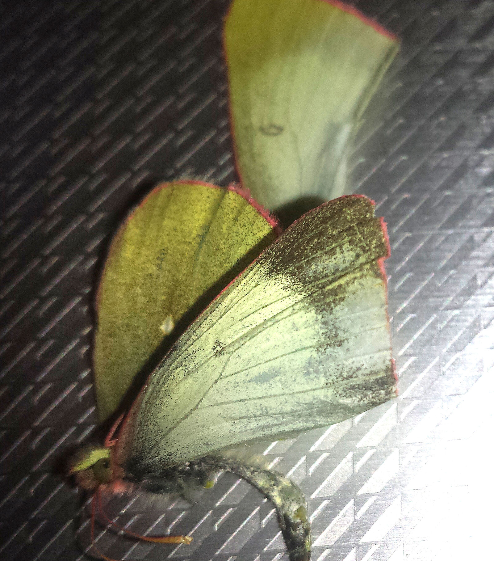 Samsung Galaxy S4 sample photo