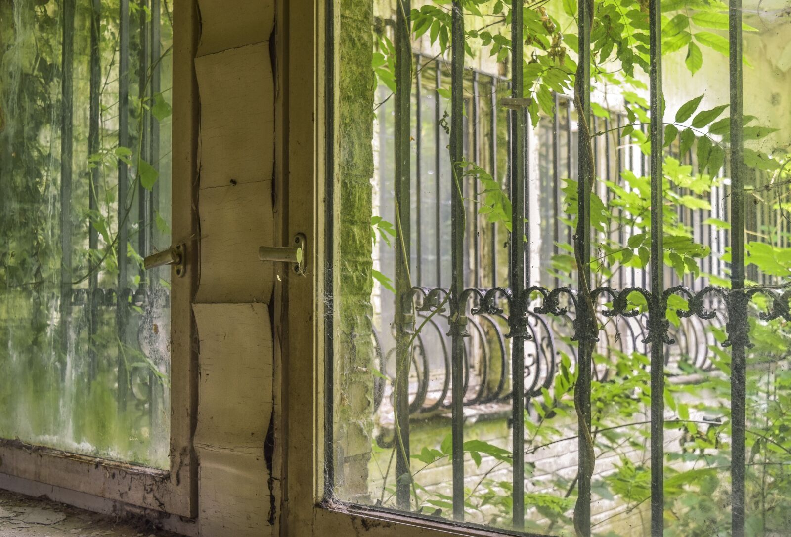 Nikon D3300 sample photo. Lost places, window, abandoned photography