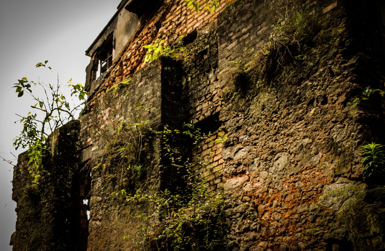 Canon EOS 1300D (EOS Rebel T6 / EOS Kiss X80) sample photo. Home, ruin, demolition photography