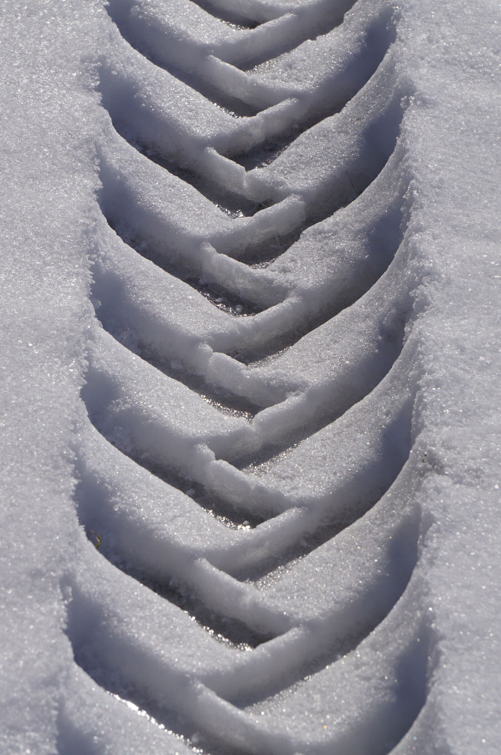 Sony E 55-210mm F4.5-6.3 OSS sample photo. Winter, snow, tire tracks photography