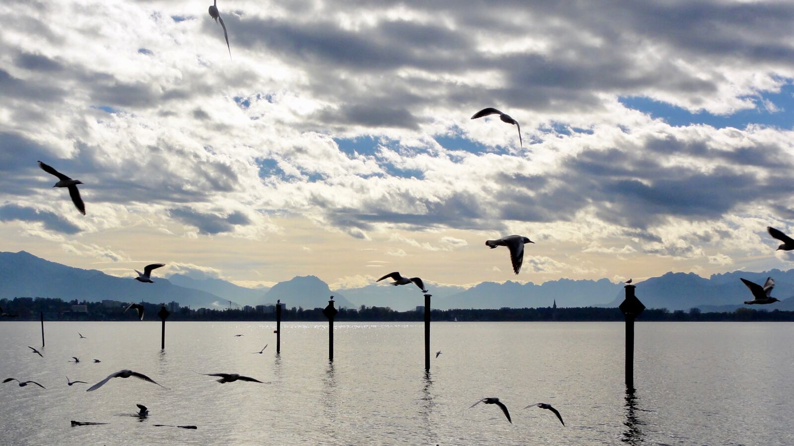 Sony DSC-HX5V sample photo. Lake constance, lake, abendstimmung photography