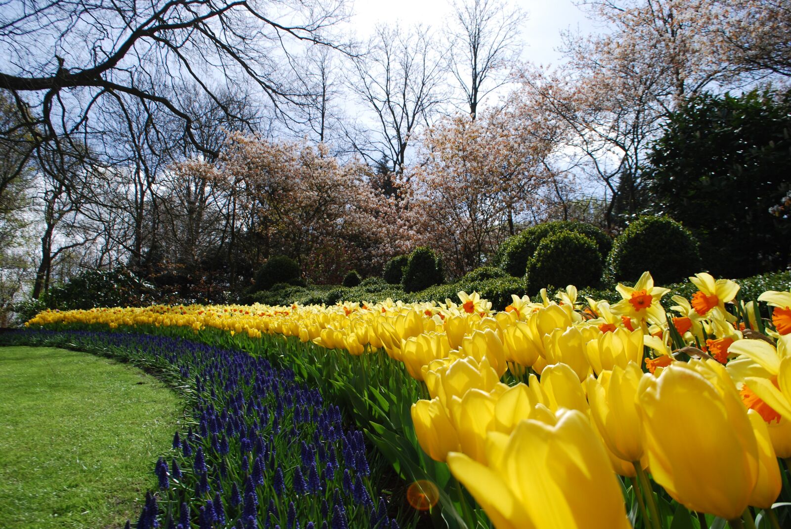 Nikon D40X sample photo. Holland, dutch park, dutch photography
