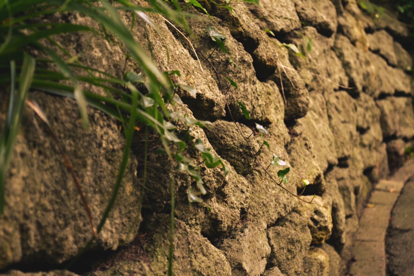 Nikon D3100 sample photo. Wall, stones, pattern photography