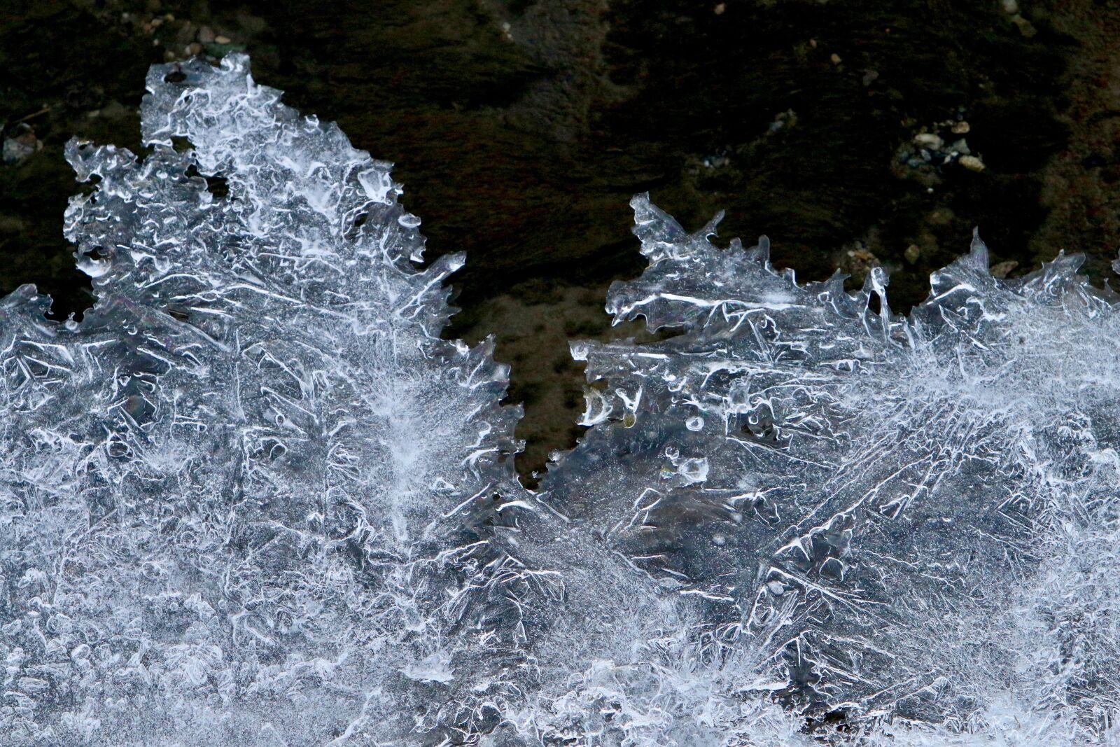 Canon EOS 70D + Canon EF 70-200mm F2.8L IS USM sample photo. Ice crystal, ice, form photography