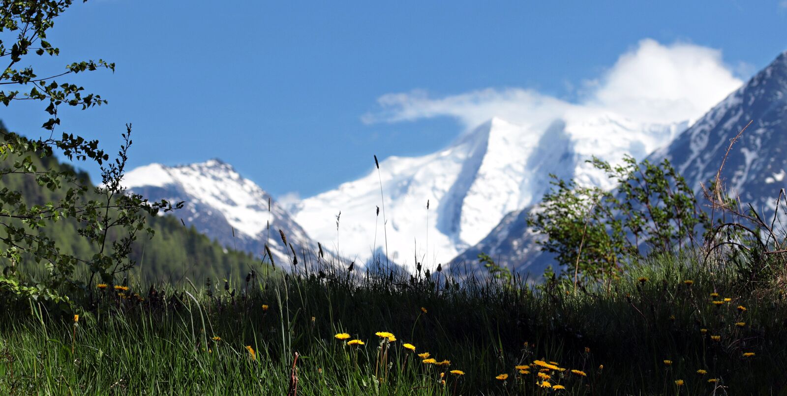 Canon EOS 80D sample photo. Mountains, meadow, summer photography